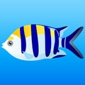 Tropical Fish Royalty Free Stock Photo
