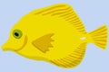 Vector illustration of yellow marine exotic fish.