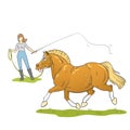 Illustration of a young woman lunging an overweight pony Royalty Free Stock Photo