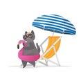 Funny cat with a pink flamingo-shaped rubber ring. Deckchair, parasol. Cat in glasses and a hat. Good for stickers