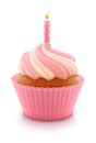 Birthday cupcake with pink candle