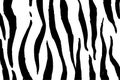 Vector illustration of a Zebra pattern, black curved vertical irregular stripes on a white background Royalty Free Stock Photo