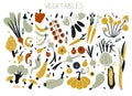 Vector illustrations of autumn objects. Set with hand drawn colorful doodle fruits and vegetables. Sketch style big vector Royalty Free Stock Photo