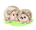 Vector illustrations caracters of two cute hedgehog lovers