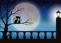 Vector illustrations,Cat couples watching the beautiful moon.