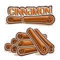 Vector illustrations for Cinnamon spice