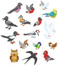 Set of birds