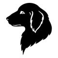 Dog golden retriever head silhouette