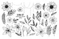Vector illustrations - Floral set flowers, leaves and branches Royalty Free Stock Photo