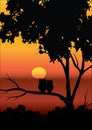 Vector illustrations , The Owl and the beautiful sunsets. Royalty Free Stock Photo