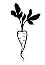 Root parsley silhouette icon