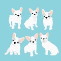 Vector illustrations set of cute little French bulldog in different positions. Funny happy puppy. French bulldog puppy