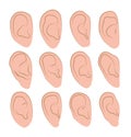 Vector illustrations set of hand drawn human ears in various shapes on a white background.