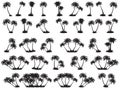 Vector illustrations silhouette of palm trees Royalty Free Stock Photo