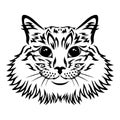 Stylized cat muzzle icon