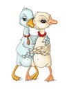Vector illustrations two geese and cuddle ,family