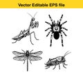 vector illustrations of various insects including a praying mantis, spider, mosquito, and cockroach in editable eps format for Royalty Free Stock Photo