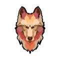 Vector Illustrative Portrait of Wolf. Beautiful gazing face of Red Wolf