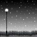 Vector illustrator of lamp and grass at night scene Royalty Free Stock Photo