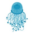 Vector illustration of translucent blue jellyfish isolate on white background. Inhabitant of the depths of the sea. Royalty Free Stock Photo