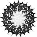 Vector image. Abstract image. Black mixed grey color of leaf in a circle pattern, in white space