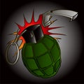Vector image of an army manual grenade. Vector Royalty Free Stock Photo