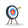 Vector image of the arrow is exactly on the target. Vector illustration on white background