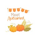 Pumpkins, autumn party or festival.