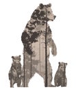 Vector image of a bear with cubs