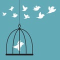 Vector image of a bird in the cage and outside the cage. Royalty Free Stock Photo