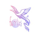 Vector image. Birds in flight hand drawing. The Fairy Bird