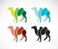 Vector image of an camel design