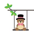 Cartoon cute bear with tie and hat on a swing and on a branch Royalty Free Stock Photo