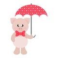 Cartoon cute pig with tie and umbrella Royalty Free Stock Photo