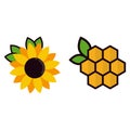 Cartoon honeycomb and sunflower with leaves