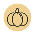 Cartoon pumpkin vector image outline icon