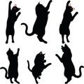 Vector Image - cat silhouette in Reach pose isolated on white background