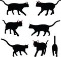 Vector Image - cat silhouette in Walking pose isolated on white background Royalty Free Stock Photo