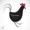Vector image of an chicken
