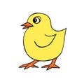 Vector image. Close-up little chicken on an isolated white background.