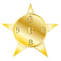 Vector image coins bitcoin with a symbol in a different form of yellow color with a gradient on a five-pointed star