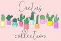 Vector image of a collection of cacti in flower pots on a pink background. Cartoon illustration with the inscription Cactus collec