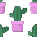 Vector image of a colored cactus in a flowerpot. Seamless pattern.