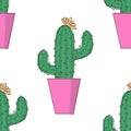 Vector image of a colored cactus in a pink flowerpot. Seamless pattern.