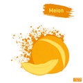 Colors sketch melon, hand drawing