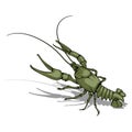 Vector image of crayfish. Royalty Free Stock Photo