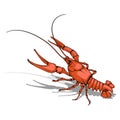 Vector image of crayfish.