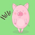 Vector image of a cute pig on a green background with an inscription Hello. Illustration for New Year, Christmas, prints, invitati Royalty Free Stock Photo