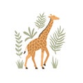 vector image of a cute walking giraffe