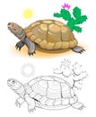 Colorful and black and white page for coloring book. Hand-drawn illustration of funny turtle in African desert.